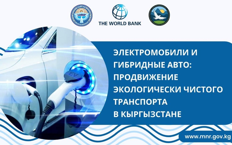 Минприроды планирует закупать электромобили для инспекционных рейдов
