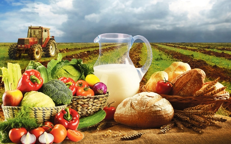 В КР за январь произведено сельхозпродукции на 12,4 млрд сомов