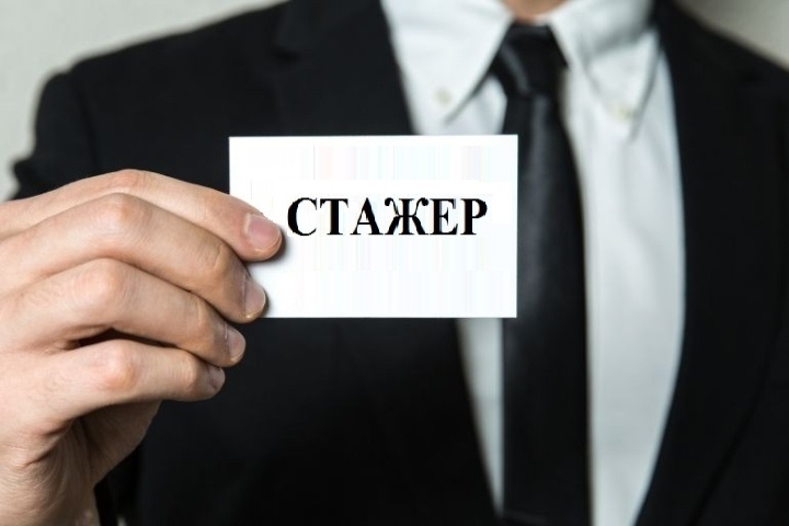 Содействие трудоустройству молодежи: Программа и возможности для студентов