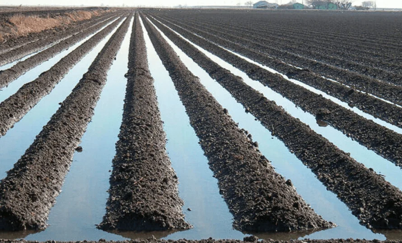 ------2025-02-19T10_26dVT0a.2e16d0ba.format-webp.fill-1668x1014