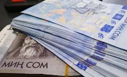 Более 340 тыс. кыргызстанцев оформили микрокредиты с начала года