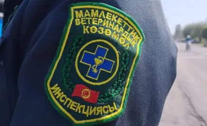 Ветслужба за 5 месяцев собрала 84 млн сомов