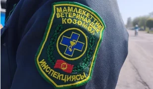 01.JPG