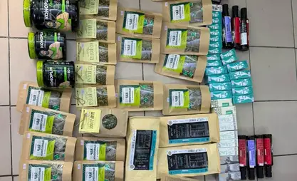 В Кыргызстане пресечена продажа продукции с компонентами каннабиса через Instagram