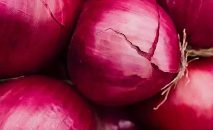 Диетолог перечислила пять продуктов для снижения давления