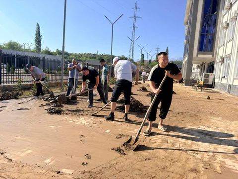0630fe28-ec12-4229-bbfd-2eb303c29041.jpg