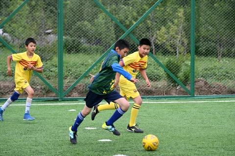 09f68fb8-4b3f-4ab8-8412-aba259dc694a.jpg