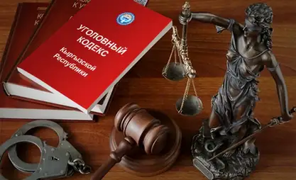 Депутаты одобрили поправки в Кодекс о правонарушениях и УПК в I чтении