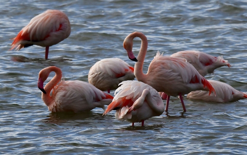 1047159949_0_112_3079_2048_1920x0_80_0_0_ae74567b5d3fc19ec36f1b40252c3181