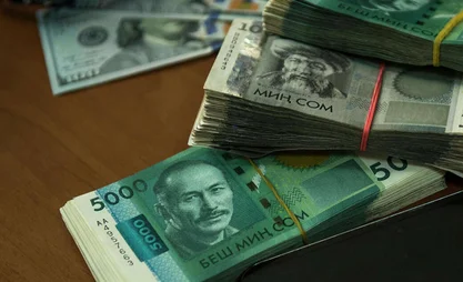 ГНС: Уровень теневой экономики в Кыргызстане снизился до 20%