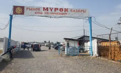 Торобаев: Скотный рынок в Токмоке был закрыт за нарушения санитарных норм