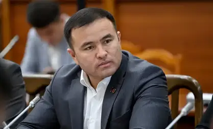 Депутат предложил проверить качество угля в школах