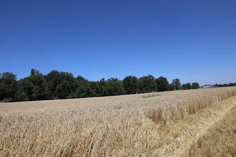 152A9846.JPG