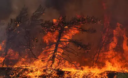 Жара и пожары охватили Средиземноморье: температура выше +40 °C