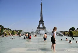 1556019916_0_0_3014_2047_1440x900_80_1_1_49fac981cdc5d3f573fd6abc2a48da0a.jpg.webp