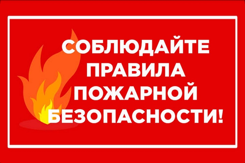 1617244152_270beccad3723cf3bb8e930f62fa4f28.jpg