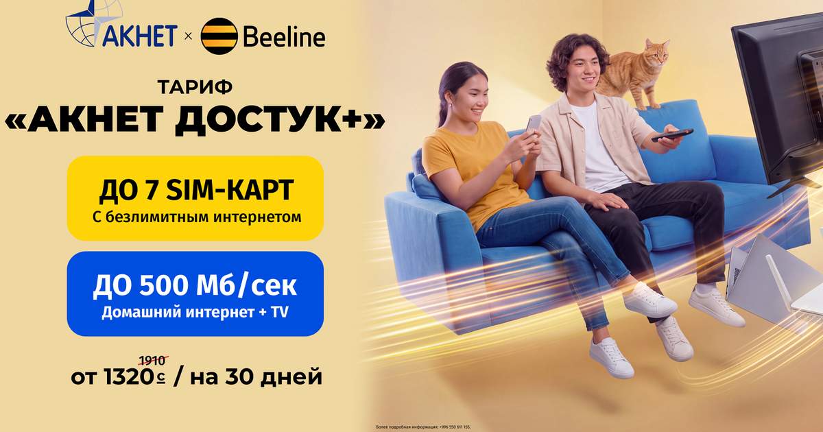 Beeline и «Акнет» создали совместный тариф для вашей семьи