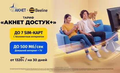 Beeline и «Акнет» создали совместный тариф для вашей семьи