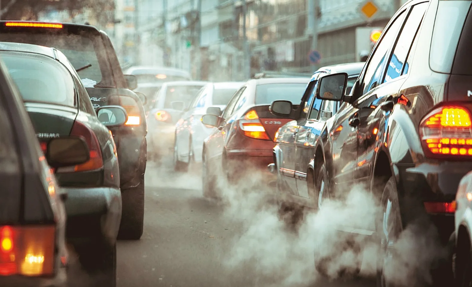 1701325211_db7b549c-e8f3-4437-8bb7-e9ef9578e80a (1).jpg