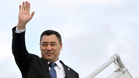 1703127.20e9486677551f991c98bd6859a14c4f.jpg