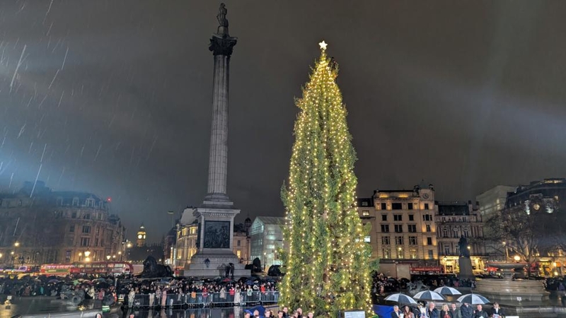 1733439076367342_AOnyhYaH