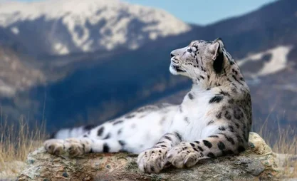 1734067612.857.max-2560x1440.format-webp.jpegquality-90.webp
