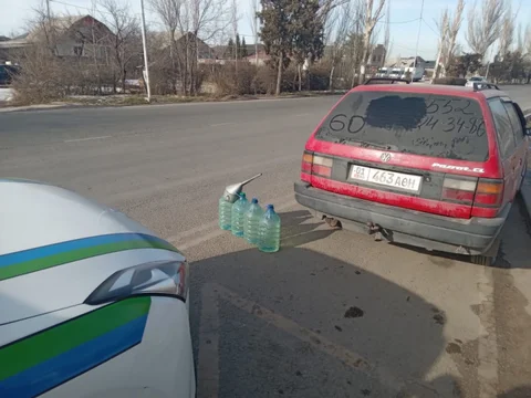 1741231862.jpeg