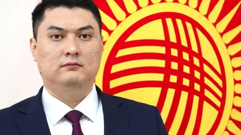 174177445167d15e7387791.png