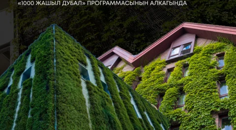 1753422375_large.png
