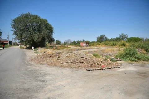 1755003421.jpg