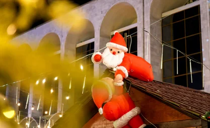 1763564095_large.jpeg