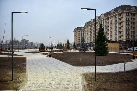 1767203448.jpg