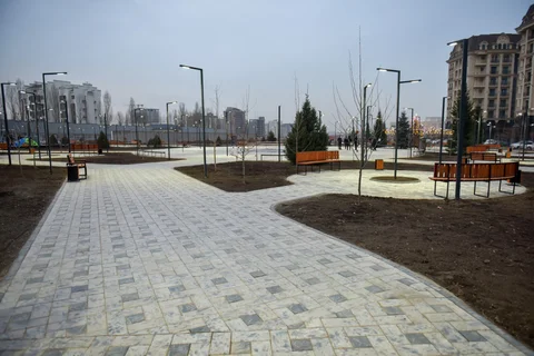 1767203477.jpg