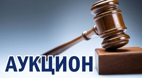 1772611210_large — копия.jpeg