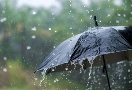 17752093183721759837_1200x630.jpg