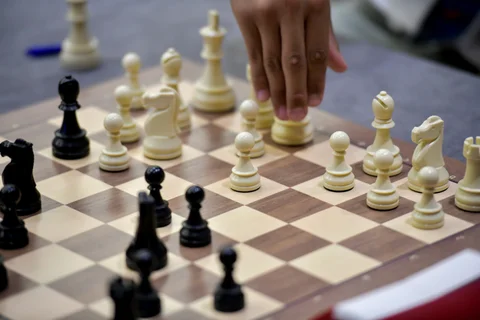 1775479310.jpg