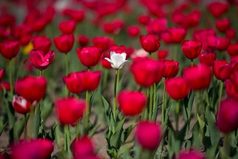 1775629651.jpg