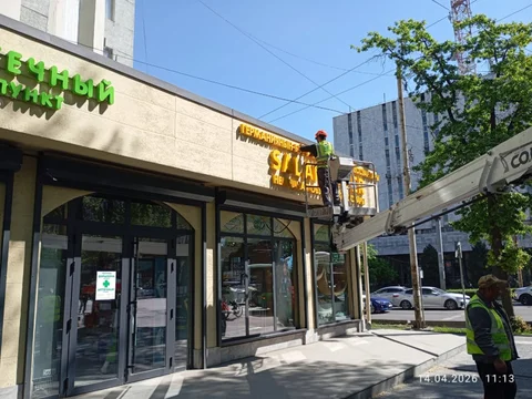 1776774510.jpeg