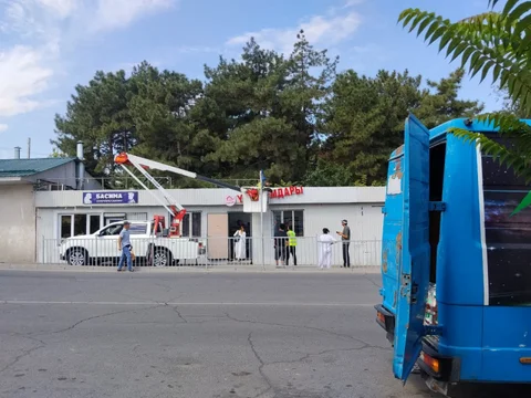 1786537165.jpeg