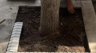 1786938546_large.jpeg