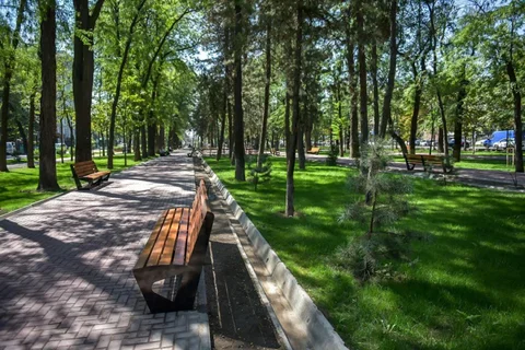 Фото к материалу
