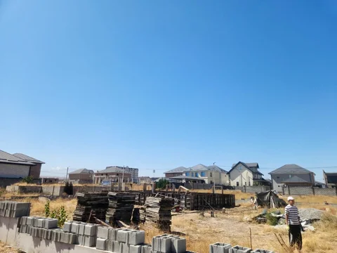 1790573442.jpg