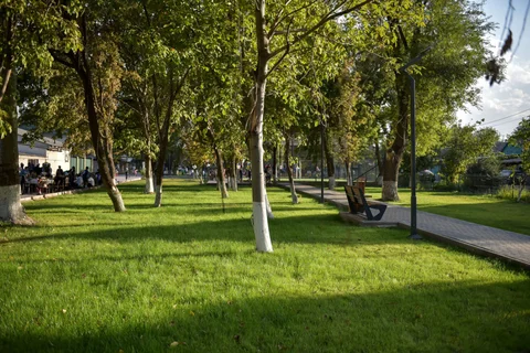 1790692817.jpg