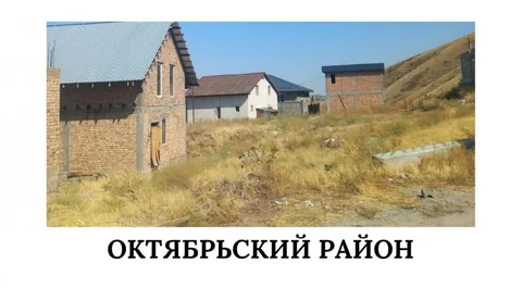 1791783372_large.jpeg
