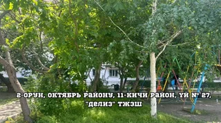 1792138706.jpeg