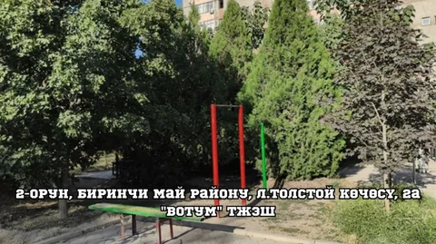 1792138724.jpeg