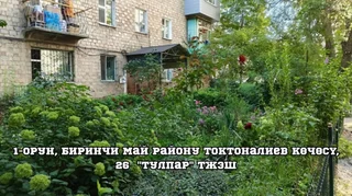 1792138727.jpeg