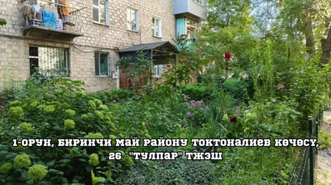 1792138727.jpeg