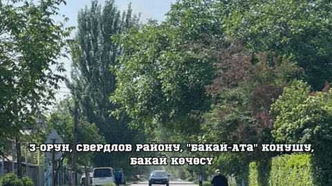 1792138745.jpeg