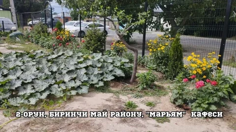 1792138757.jpeg